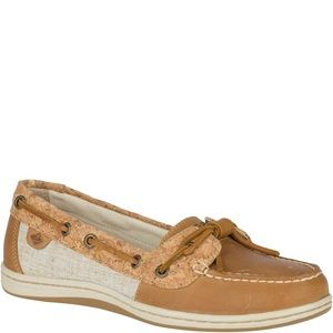 Angelfish topsider